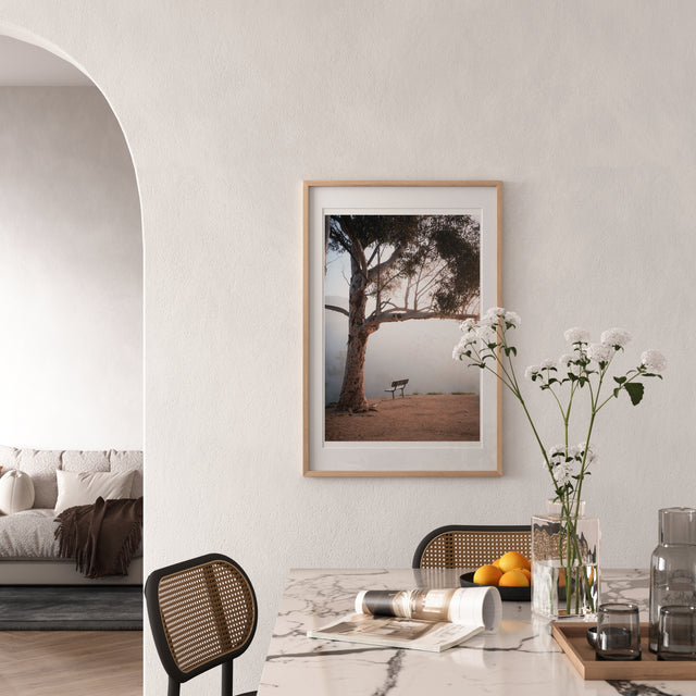 A Seat in the Clouds