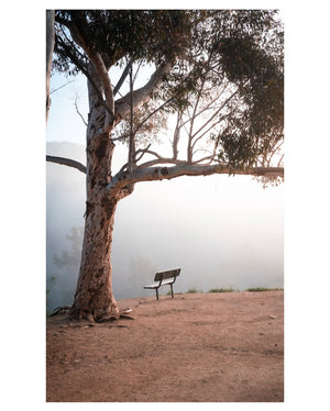 A seat in the clouds