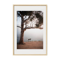 A Seat in the Clouds