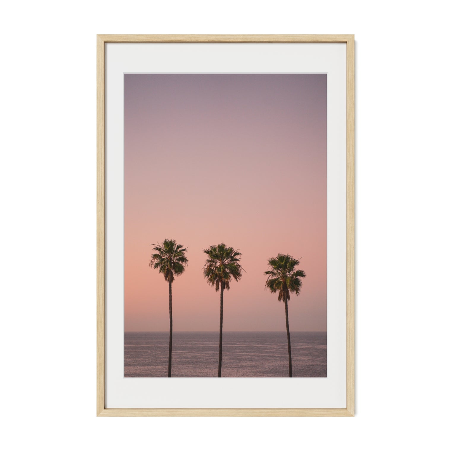 California Palms
